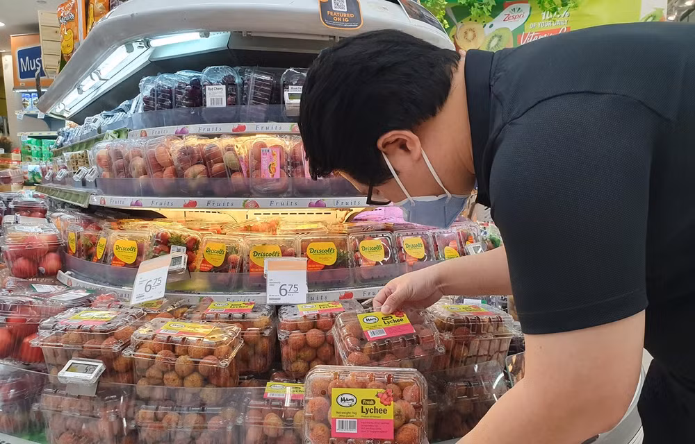 Lichi de Vietnam conquista mercado singapurense ảnh 1
