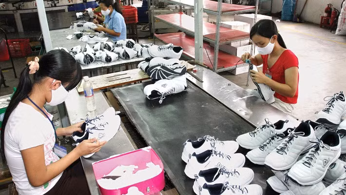 Promueven cooperación entre empresas deportivas de Vietnam y los Países Bajos ảnh 1