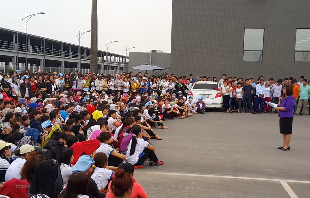 Convenio 98 proporciona ambiente de trabajo estable para los trabajadores en Vietnam ảnh 1