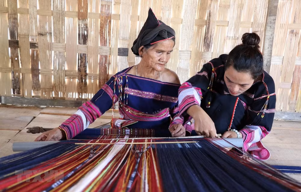 Expertos de Francia y Vietnam analizarán periodo histórico de la etnia Bahnar ảnh 1