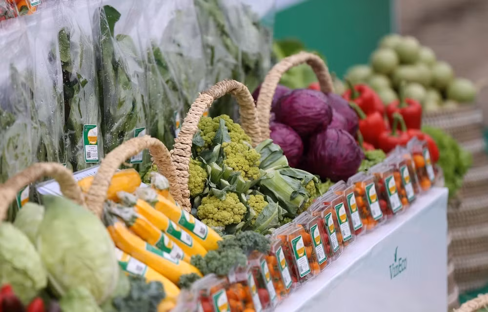 Índice de Precios al Consumidor en Ciudad Ho Chi Minh crece 0,66 por ciento en junio ảnh 1