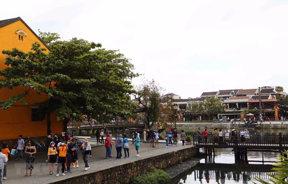 Google provee capacitación en habilidades digitales para el sector de turismo de Vietnam ảnh 1