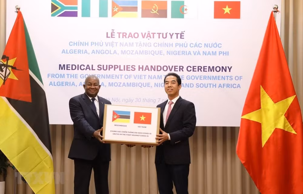 Apoya Vietnam a países africanos en lucha contra COVID -19 ảnh 1
