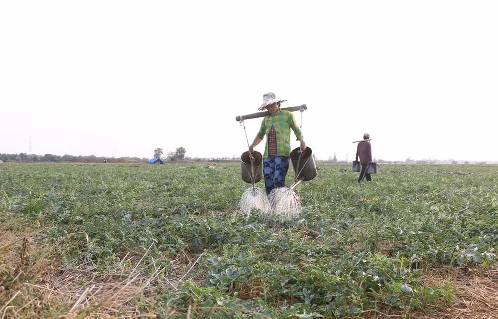 Reconocen a dos distritos vietnamitas con cumplimiento de nuevos estándares rurales ảnh 1