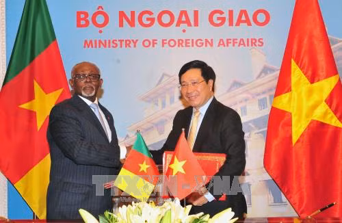 Camerún reafirma disposición de fortalecer lazos multifacéticos con Vietnam ảnh 1