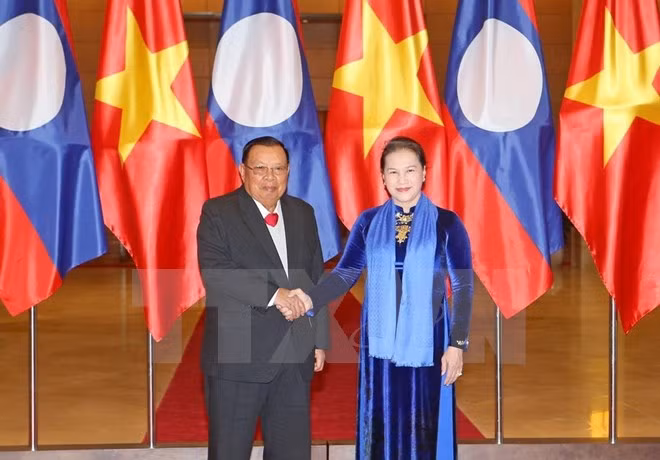 Presidenta del Parlamento vietnamita se entrevista con máximo dirigente de Laos ảnh 1