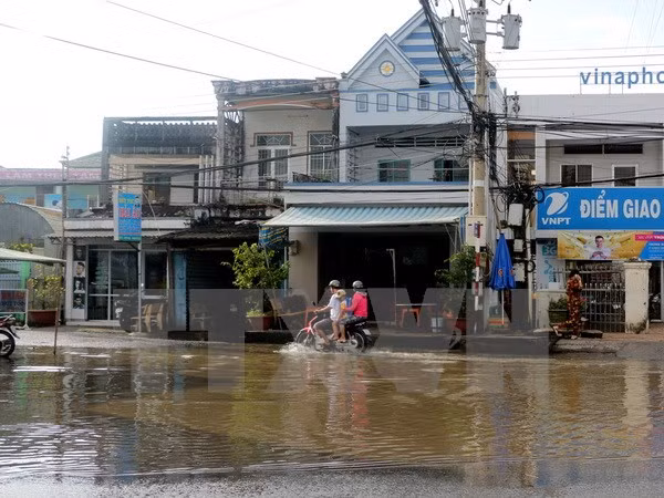 Reporteros vietnamitas mejoran habilidades profesionales en condiciones desfavorables ảnh 1