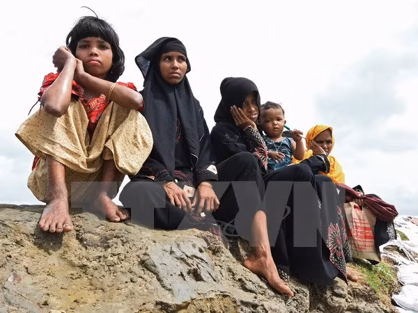 Ejército de Myanmar investiga una fosa común en estado de Rakhine ảnh 1
