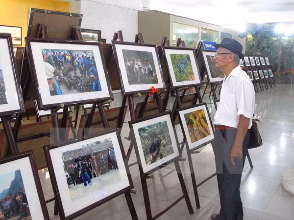 Fotógrafos vietnamitas ganan medallas de oro en concurso internacional ảnh 1