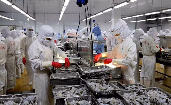 Exportaciones de mariscos vietnamitas alcanzarán ocho mil millones de dólares en 2017 ảnh 1