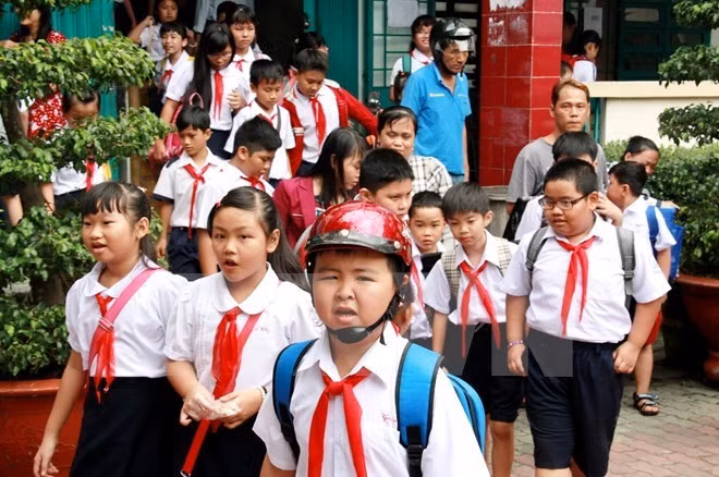 Vietnam concede importancia a tareas demográficas en desarrollo nacional ảnh 1