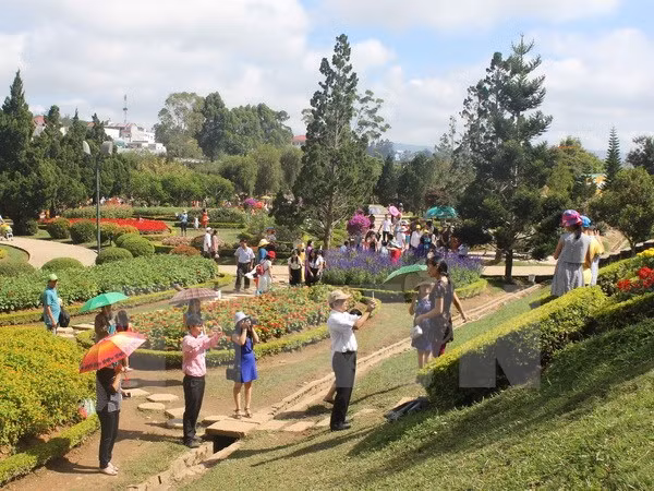 Promocionan Té y Seda de Lam Dong en Festival de Flores Da Lat ảnh 1