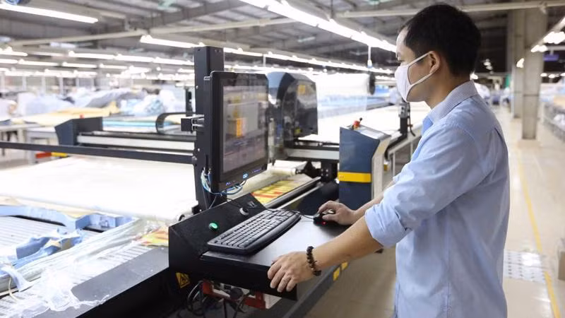 Apoyan a pequeñas y medianas empresas vietnamitas en transformación digital ảnh 1
