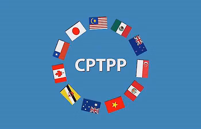 CPTPP aún tiene potencial sin explotar para empresas vietnamitas ảnh 1