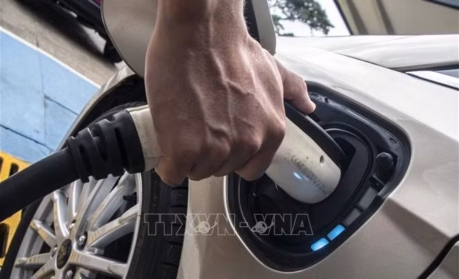 VinFast fomenta desarrollo de vehículos eléctricos en Vietnam ảnh 1