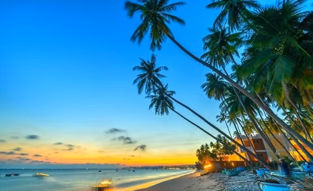 Año de Visita a Vietnam 2023 se centrará en turismo verde ảnh 2
