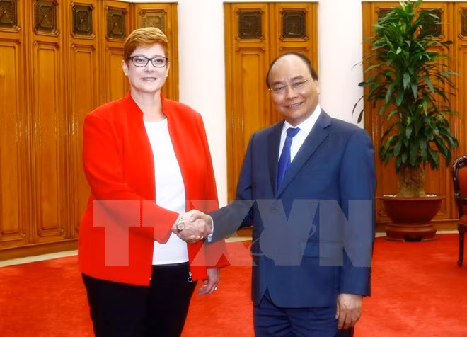Gobierno vietnamita aboga por mayor cooperación en defensa con Australia ảnh 1