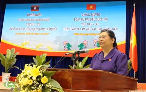Destacan aportes de provincia de Quang Nam al fortalecimiento de nexos Vietnam-Laos ảnh 1