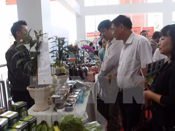 Vietnam impulsa desarrollo agrícola basado en los avances tecnológicos ảnh 1