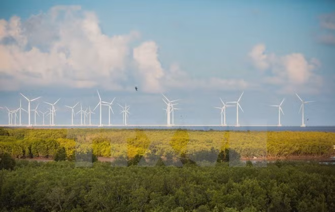 Perspectivas de cooperación entre Vietnam y Alemania en energías renovables ảnh 1
