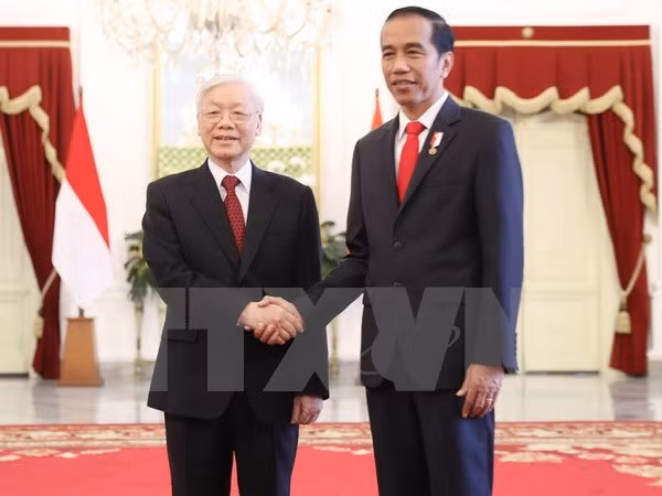 Joko Widodo ofrece una solemne recepción al máximo dirigente partidista de Vietnam ảnh 1