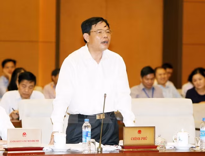 Comité Permanente del Parlamento vietnamita delibera sobre gestión forestal y acuicultura ảnh 1