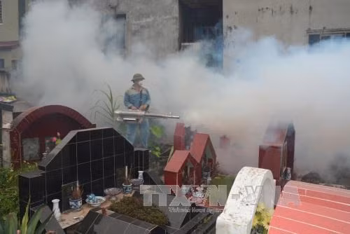 Hanoi refuerza medidas para controlar el dengue ảnh 1