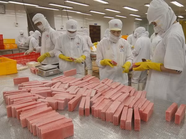 Feria internacional de acuicultura de Vietnam se efectuará en octubre ảnh 1