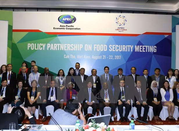 APEC 2017 delibera sobre desarrollo sostenible de la pesca ảnh 1