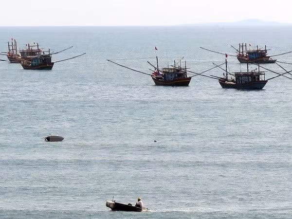 Banco vietnamita respalda a pescadores nacionales mediante préstamos preferenciales ảnh 1