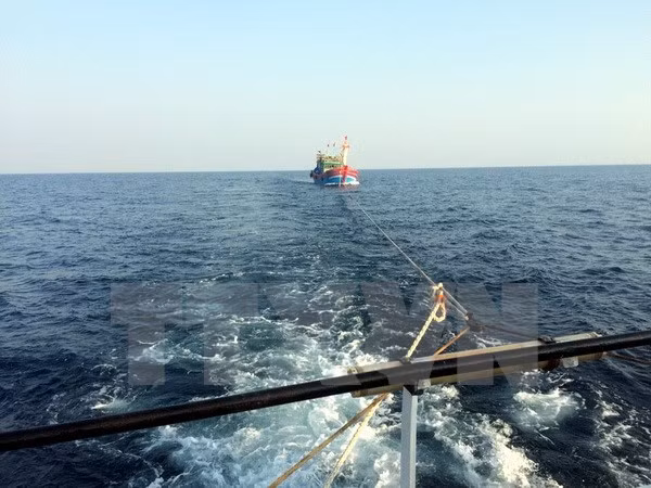 Rescatan a marineros vietnamitas accidentados en el mar ảnh 1