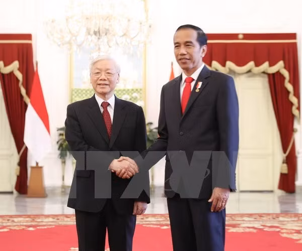 Máximo dirigente partidista de Vietnam envía mensaje de agradecimiento al presidente de Indonesia ảnh 1