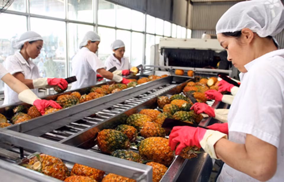 Vietnam prevé ingresos multimillonarios por exportación de verduras y frutas ảnh 1