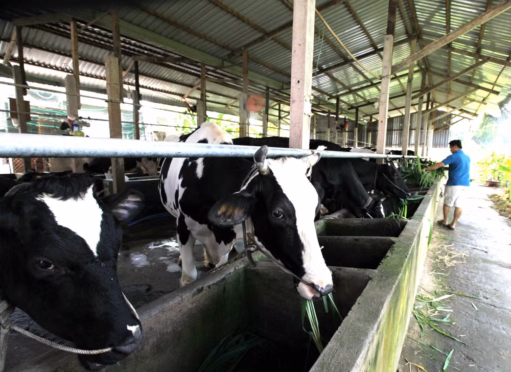 Ciudad Ho Chi Minh y Australia por impulsar cooperación agrícola ảnh 1
