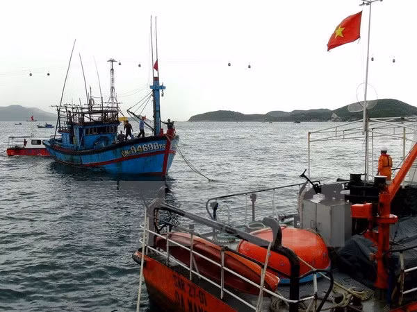 Vietnam: Trasladan a tierra a marinero enfermo cuando laboraba en el mar ảnh 1