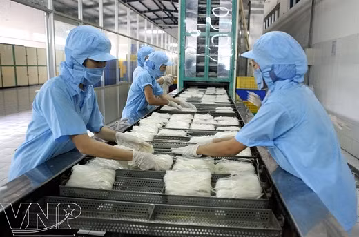 Galletitas de gambas de Sa Giang ảnh 6