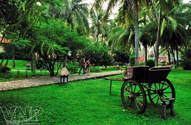 Turismo ecológico en Mui Ne ảnh 4