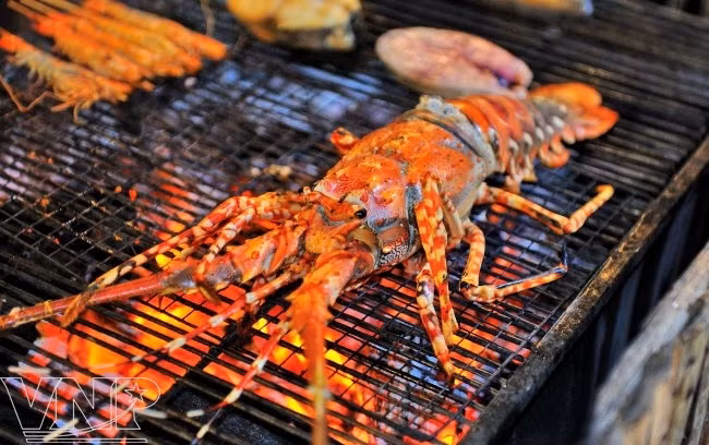 Turismo ecológico en Mui Ne ảnh 7