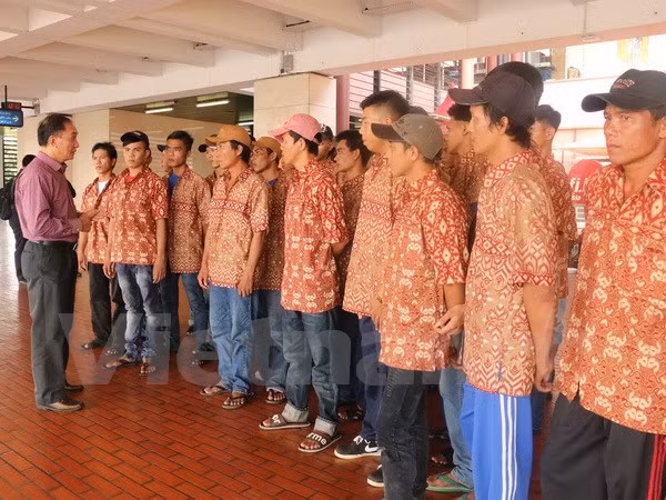 Pescadores vietnamitas retenidos en Indonesia regresarán a casa ảnh 1