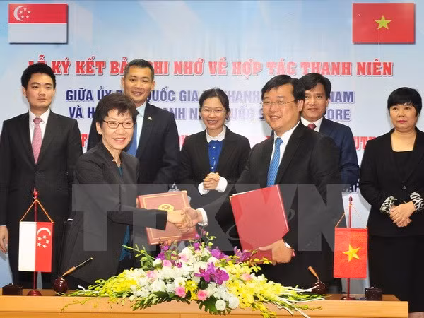 Intensifican cooperación organizaciones juveniles de Vietnam y Singapur ảnh 1