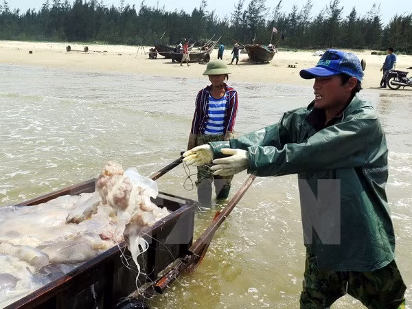 Ha Tinh con nuevo rostro un año después del incidente de contaminación marina ảnh 1