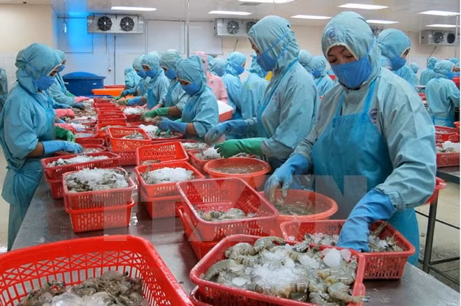 Exportaciones de productos acuáticos de Vietnam alcanzan mil 500 millones de dólares ảnh 1