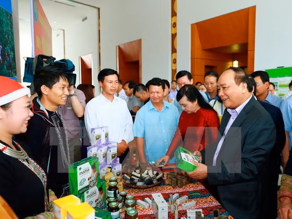 Vietnam estudia medidas para estimular desarrollo de medicina tradicional ảnh 1