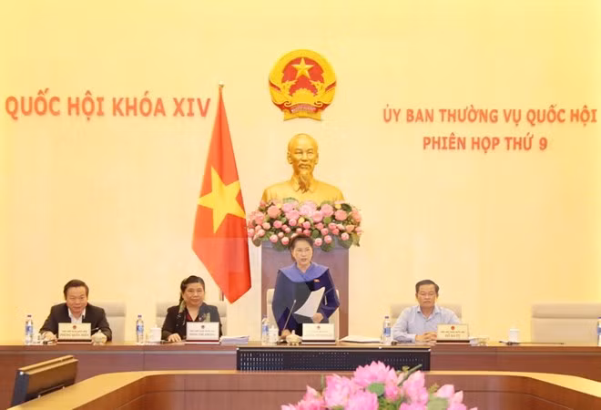 Comité Permanente del Parlamento vietnamita concluye su novena reunión ảnh 1