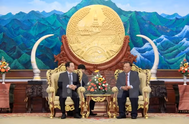 Presidente de Laos recibe a delegación de Vietnam ảnh 1