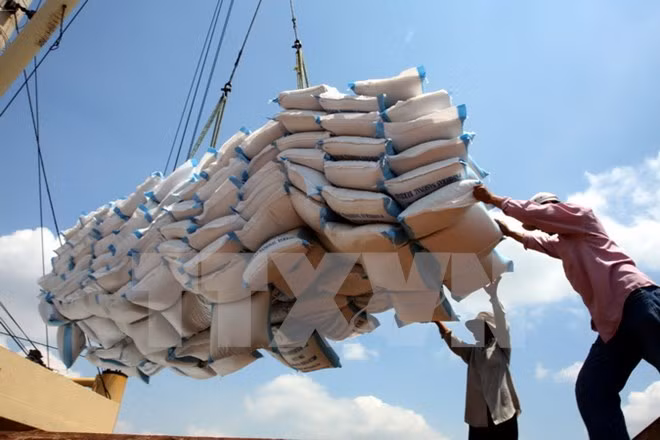 Disminuyen exportaciones vietnamitas de arroz en primer trimestre de 2017 ảnh 1