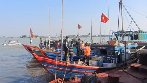 Provincia de Thanh Hoa adopta medidas para impulsar el sector pecuario ảnh 1