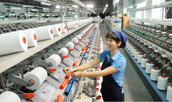 Sector textil de Vietnam debe trabajar para superar las barreras técnicas ảnh 1