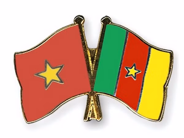 Vietnam y Camerún fortalecen nexos comerciales e inversionistas ảnh 1