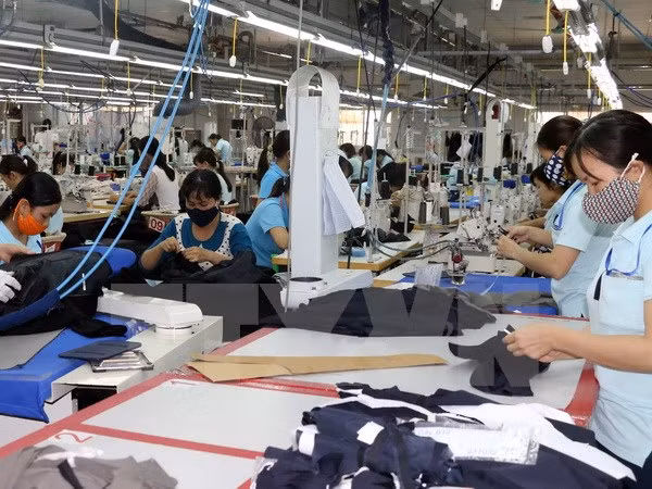 Exportaciones textiles aumentan un 11,2 por ciento ảnh 1